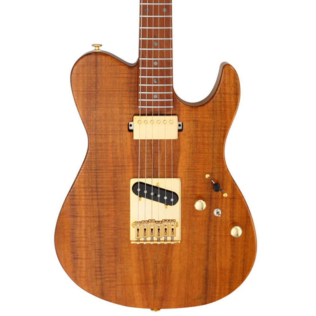 Fujigen Super Tele 電吉他 EIL-EW2-HS-RM/VNT