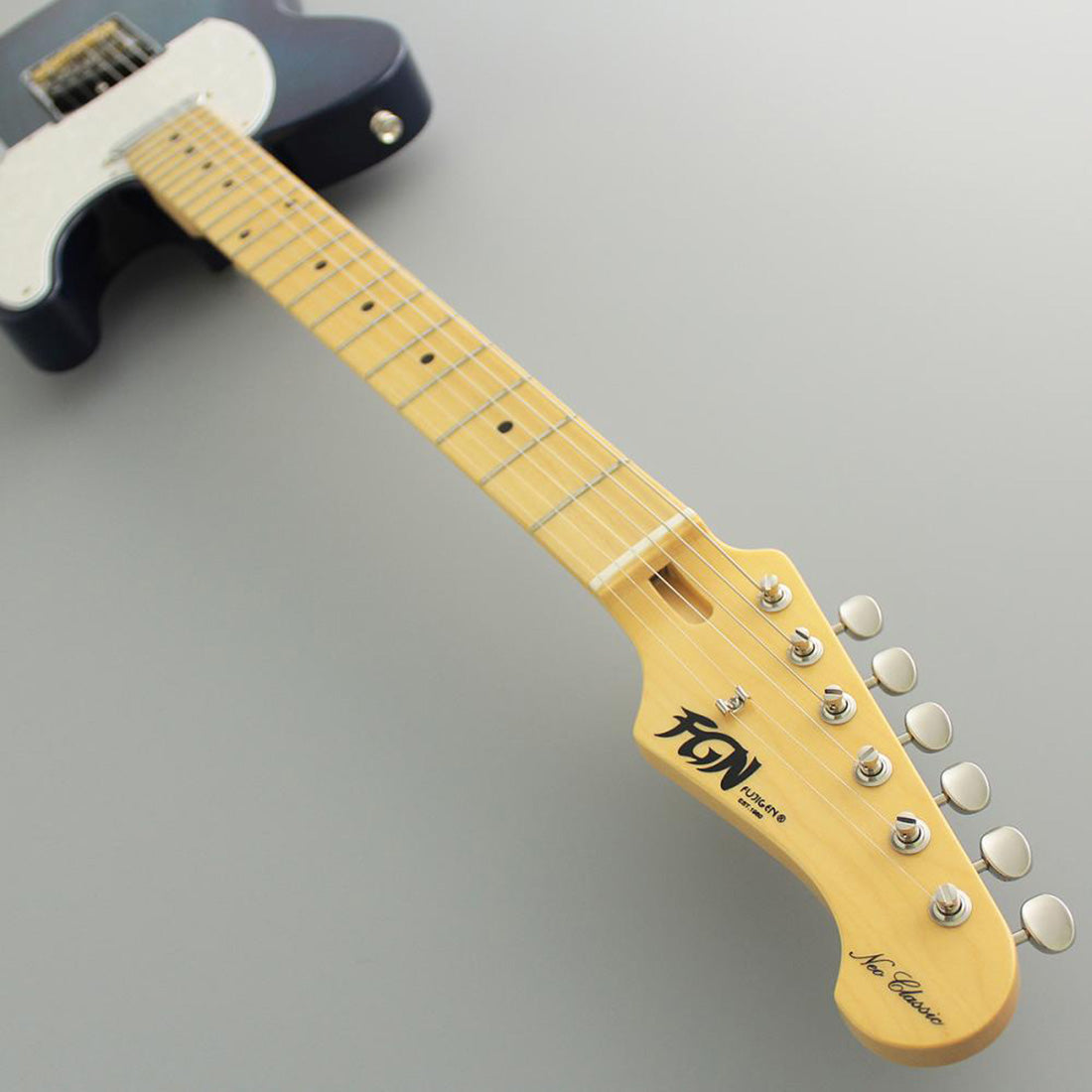 Fuijgen NTE100MAH-SBB