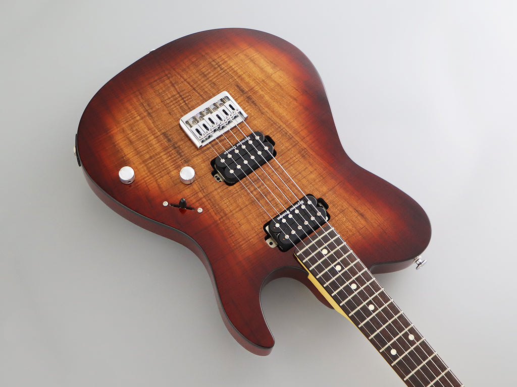 FGN JIL2-DU-EW2-R KNB 電吉他Tele｜日廠C.F.S. Seymour Duncan