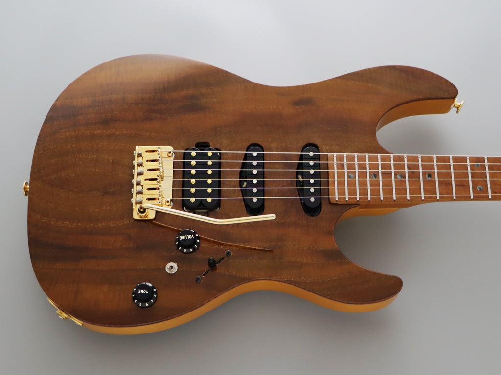 FGN EOS2-DU-EW2-RM VNT 電吉他Strat｜日廠EXPERT C.F.S. – MONKCUSTOM