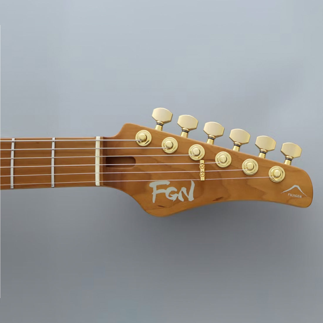 Fuijgen EOS2-DU24HSH-EW4-RM/MNF